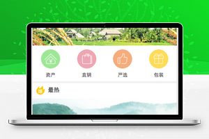 微信小程序－电商平台