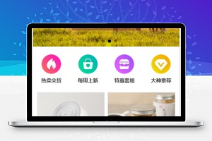 商品分类选购好物优选双11网上微信商城小程序模板