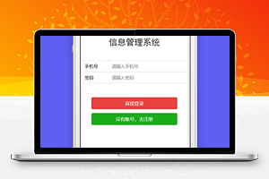 信息管理系统手机号登陆页程序源码下载