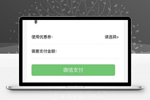 商户产品服务金额设置支付页程序源码下载