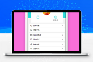 精简文字排版程序设置信息查看会员中心源码
