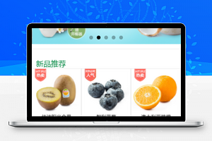 分页式精选水果商品微信电商网上商城销售小程序模板