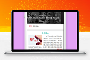 公司简介产品展示介绍企业宣传行业程序源码