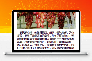 天津旅游图文排版文章页程序源码下载