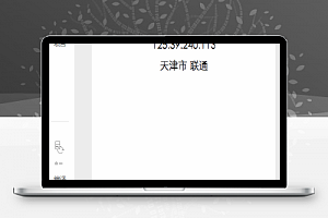 IP 地址查询