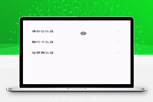 微信小程序-新颜征信