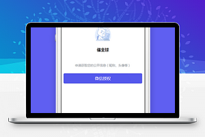 个人催收需求微信程序授权登录页程序源码