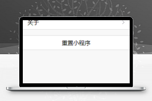 简单文字排版黑白风程序设置重置程序源码