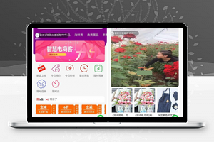 进云智慧电商客商城v2.26