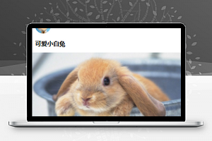 美文集最新影视资讯图文阅读程序源码下载