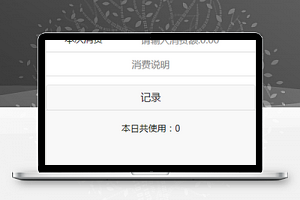今日消费额记录消费说明笔记程序源码下载