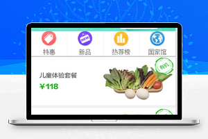 幻灯片样式有机蔬菜套餐选择消费商城源码