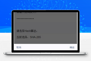 哈希密码：MD5，SHA-1，SHA-265，SHA-512，RIPEMD