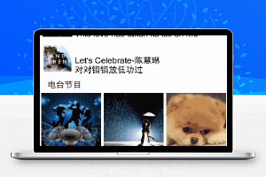 音乐视屏播放,歌词展示,暂停/播放/上一首/下一首