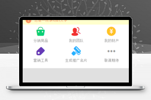 微信商城营销收益信息查询页程序源码