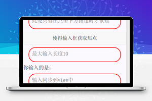 input输入框