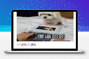 搞笑图片段子阅读娱乐搞笑小程序源码