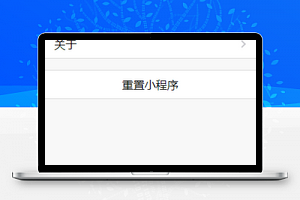 简单文字排版黑白风程序设置重置程序源码