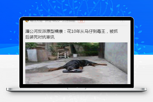 movecss分类式最新新闻资讯阅读程序源码