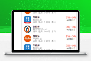 模仿拉钩招聘APP源代码