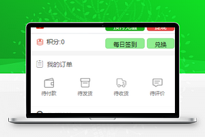 精致排版订单余额查询微商城个人中心源码