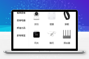 精美个人电商网上商城WEB微信小程序模板