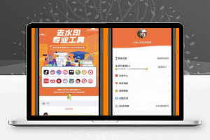 短视频去水印小程序v1.3.7