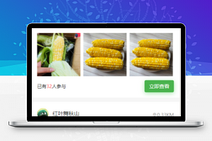 开心小麻团周边商品选购微信购物小程序模板