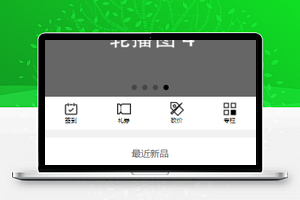 灰色简洁画风商品推广销售商城小程序模板