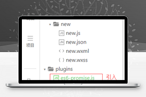 引入es6 promise：网络请求封装