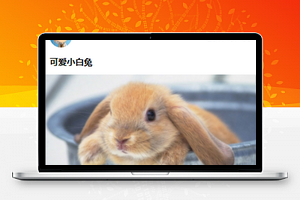 美文集最新影视资讯图文阅读程序源码下载