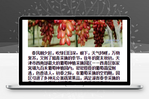 天津旅游图文排版文章页程序源码下载