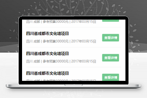 简单文字墙绘需求接单招标展示业务活动类微信小程序