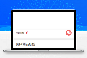 简单商品详情展示在线快速购物结算微信商城小程序模板