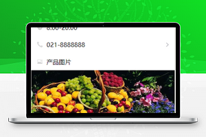 简单图文简介实体水果店宣传程序源码