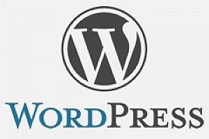 WordPress5.42 最新正式中文版蓝奏云高速下载