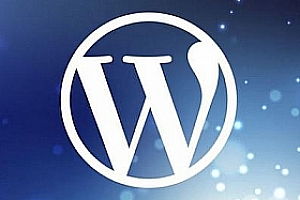WordPress 5.5 正式版发布，主要更新20个新功能