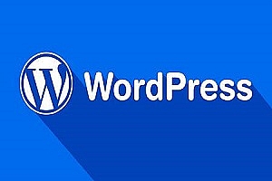 WordPress 5.5.1修复40+个问题，请尽快更新