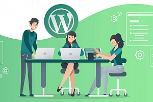 WordPress 5.6中文版下载星海分享