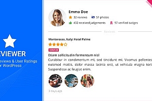 Reviewer – 快速简单评论 WordPress 插件 – v3.24.0