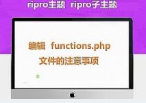 Ripro主题ripro子主题编辑functions.php 文件的注意事项