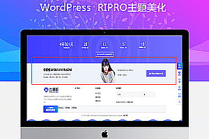 Ripro主题美化-仿优设底部