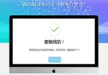RIPRO主题美化-网站实现复制内容弹出提示框