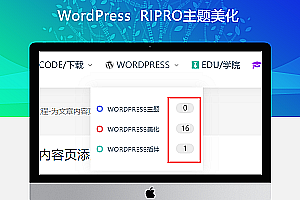 RIPRO主题美化-网站二级导航菜单统计文章数量