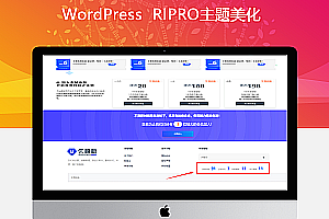 RIPRO美化主题-页脚显示资源统计会员统计日更周更统计数据