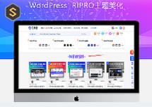 RiPro美化-注册自动送Vip代码