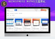 Ripro美化添加分类列表页搜索框+文本