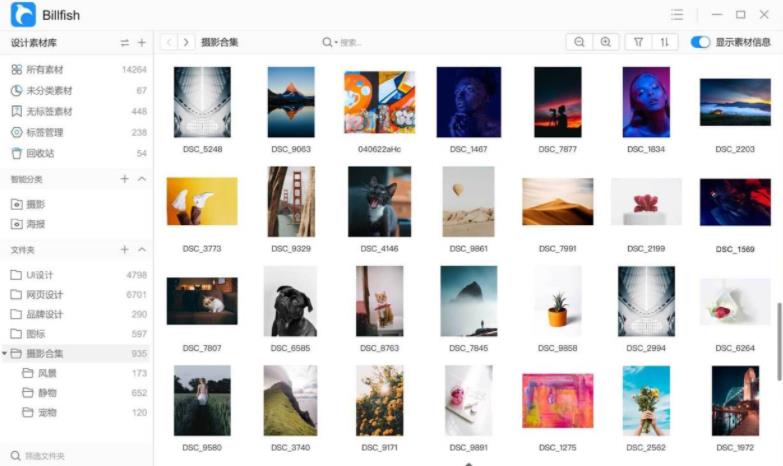 免费分享一款免费的素材管理工具Billfish