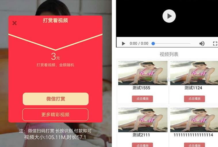 最新开发视频打赏系统源码,带试看功能已个人免签支付