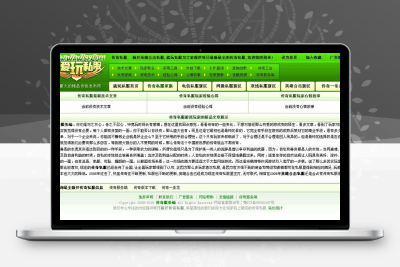 游戏私服开区网站100%纯绿色个性游戏主页源码分享